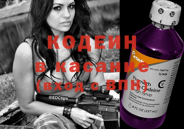прущие грибы Михайлов