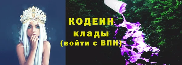 прущие грибы Михайлов