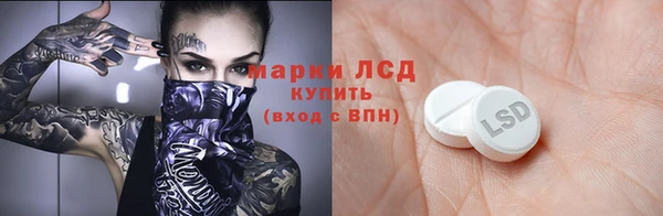 прущие грибы Михайлов