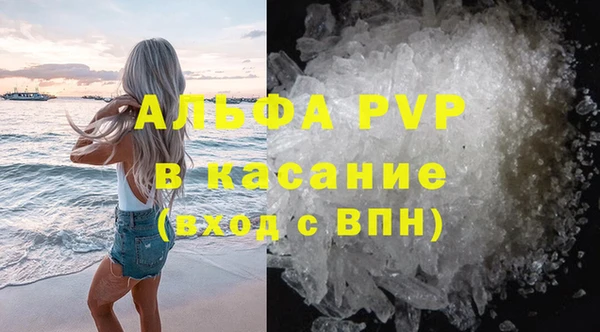прущие грибы Михайлов