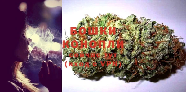прущие грибы Михайлов