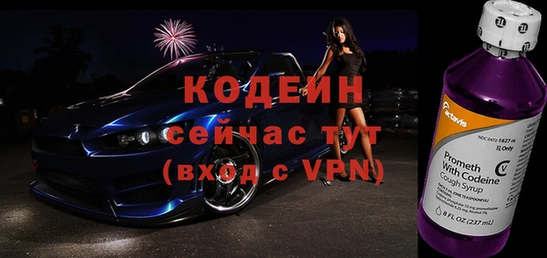 прущие грибы Михайлов
