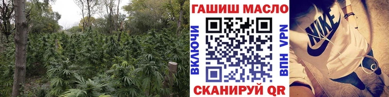 ТГК концентрат  Купить  Кирс 